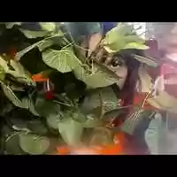 Free download VIDEO EXCERPTS_objet_regard video and edit with RedcoolMedia movie maker MovieStudio video editor online and AudioStudio audio editor onlin