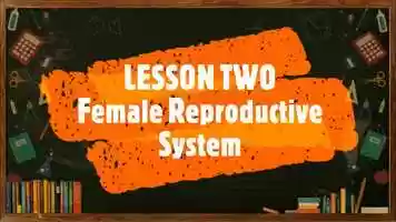 Free download Video Lesson #2 - 2nd Term - Science 7 - Female Reproductive System.mp4 video and edit with RedcoolMedia movie maker MovieStudio video editor online and AudioStudio audio editor onlin