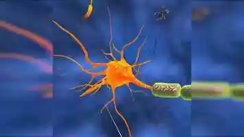 Free download Virtual Reality - Biology Lab, Educational Video video and edit with RedcoolMedia movie maker MovieStudio video editor online and AudioStudio audio editor onlin