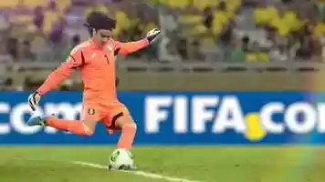 Free download Visa FIFA Brazil 2013 Promo Edit video and edit with RedcoolMedia movie maker MovieStudio video editor online and AudioStudio audio editor onlin