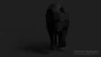 Free download VishnuGollakota_WolfWalk_Final.mov video and edit with RedcoolMedia movie maker MovieStudio video editor online and AudioStudio audio editor onlin