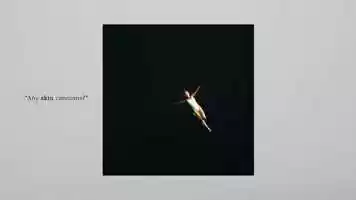 Free download visual film 01 video and edit with RedcoolMedia movie maker MovieStudio video editor online and AudioStudio audio editor onlin