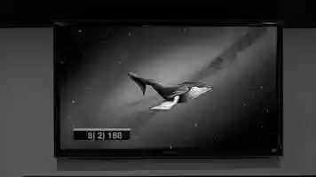 Free download VM The Gaze of a Whale (teaser) video and edit with RedcoolMedia movie maker MovieStudio video editor online and AudioStudio audio editor onlin