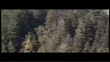 Free download VNR - The All-New Range Rover Sport Lightweight Technologies video and edit with RedcoolMedia movie maker MovieStudio video editor online and AudioStudio audio editor onlin