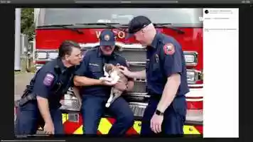 Free download Waco Animal Shelter and Waco Fire Team Up video and edit with RedcoolMedia movie maker MovieStudio video editor online and AudioStudio audio editor onlin