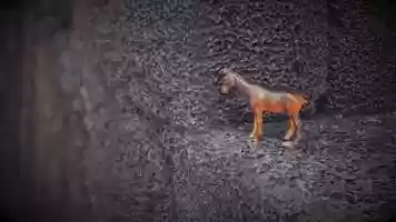 Free download Waiting for everything video and edit with RedcoolMedia movie maker MovieStudio video editor online and AudioStudio audio editor onlin