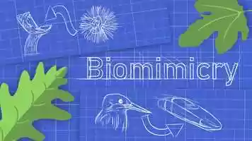 Free download Wasps to Human Surgery: Inspiration from Nature video and edit with RedcoolMedia movie maker MovieStudio video editor online and AudioStudio audio editor onlin