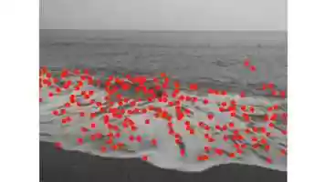 Free download Watching the sea video and edit with RedcoolMedia movie maker MovieStudio video editor online and AudioStudio audio editor onlin