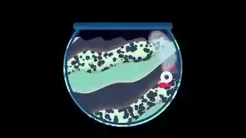 Free download WaterFill video and edit with RedcoolMedia movie maker MovieStudio video editor online and AudioStudio audio editor onlin