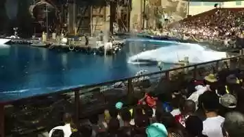 Free download Waterworld Auditions 1 video and edit with RedcoolMedia movie maker MovieStudio video editor online and AudioStudio audio editor onlin