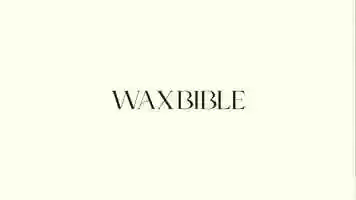 Free download Wax-BibleBranding-Pres-Animations2.mp4 video and edit with RedcoolMedia movie maker MovieStudio video editor online and AudioStudio audio editor onlin