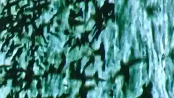 Free download Way They See video and edit with RedcoolMedia movie maker MovieStudio video editor online and AudioStudio audio editor onlin