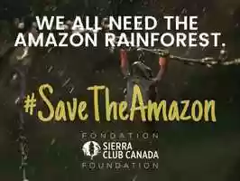 Free download We All Need The Amazon Rainforest video and edit with RedcoolMedia movie maker MovieStudio video editor online and AudioStudio audio editor onlin
