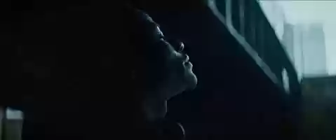 Free download We Are All Hounds video and edit with RedcoolMedia movie maker MovieStudio video editor online and AudioStudio audio editor onlin
