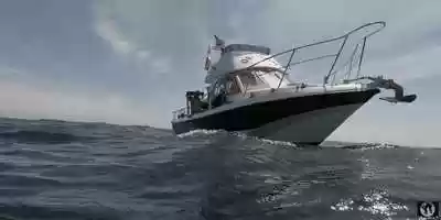 Free download We are Black Cats video and edit with RedcoolMedia movie maker MovieStudio video editor online and AudioStudio audio editor onlin