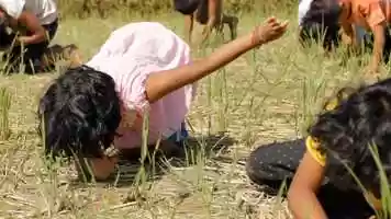 Free download we belong video and edit with RedcoolMedia movie maker MovieStudio video editor online and AudioStudio audio editor onlin