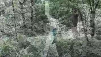 Free download We Dance, act 3 video and edit with RedcoolMedia movie maker MovieStudio video editor online and AudioStudio audio editor onlin