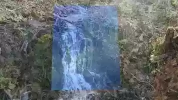 Free download We Dance video and edit with RedcoolMedia movie maker MovieStudio video editor online and AudioStudio audio editor onlin