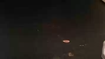 Free download Week 1: Penny Slide video and edit with RedcoolMedia movie maker MovieStudio video editor online and AudioStudio audio editor onlin