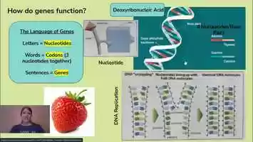 Free download WEEK 7 LIFE SCIENCE SEPTEMBER 21ST video and edit with RedcoolMedia movie maker MovieStudio video editor online and AudioStudio audio editor onlin