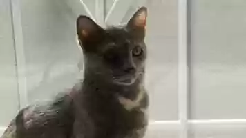 Free download Weekend - BMPCC4K Test footage video and edit with RedcoolMedia movie maker MovieStudio video editor online and AudioStudio audio editor onlin