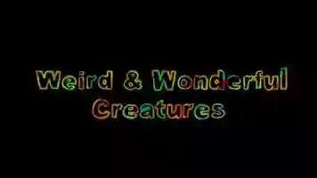 Free download Weird  Wonderful Creatures video and edit with RedcoolMedia movie maker MovieStudio video editor online and AudioStudio audio editor onlin