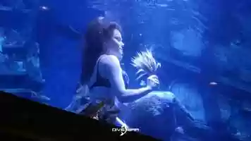 Free download Welcome to Dive Bar Sacramento - Live Mermaids, Bar, Music, and more... (Cover Video) video and edit with RedcoolMedia movie maker MovieStudio video editor online and AudioStudio audio editor onlin