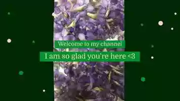 Free download Welcome to my world! video and edit with RedcoolMedia movie maker MovieStudio video editor online and AudioStudio audio editor onlin