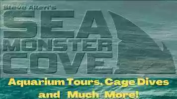 Free download Welcome to Sea Monster Cove 2021 video and edit with RedcoolMedia movie maker MovieStudio video editor online and AudioStudio audio editor onlin