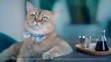 Free download Wetland Seasons Bay | 《這杯咖啡很甜篇》Deal by #Nature video and edit with RedcoolMedia movie maker MovieStudio video editor online and AudioStudio audio editor onlin