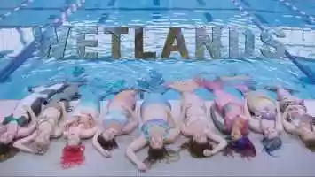 Free download Wetlands video and edit with RedcoolMedia movie maker MovieStudio video editor online and AudioStudio audio editor onlin