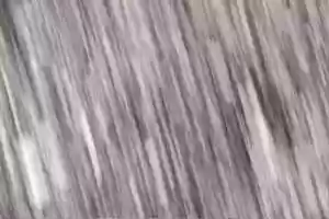 Free download W Field 4B video and edit with RedcoolMedia movie maker MovieStudio video editor online and AudioStudio audio editor onlin