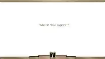 Free download What is child support? video and edit with RedcoolMedia movie maker MovieStudio video editor online and AudioStudio audio editor onlin