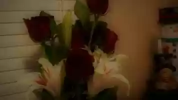 Free download WHAT IS FEMININITY? video and edit with RedcoolMedia movie maker MovieStudio video editor online and AudioStudio audio editor onlin