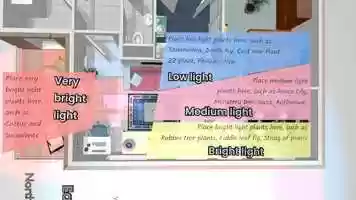 Free download What is the best light position for your plants video and edit with RedcoolMedia MovieStudio video editor online and AudioStudio audio editor onlin