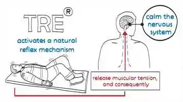 Free download What is TRE? video and edit with RedcoolMedia movie maker MovieStudio video editor online and AudioStudio audio editor onlin