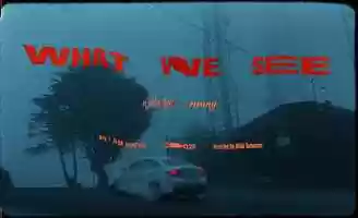 Free download What We See video and edit with RedcoolMedia movie maker MovieStudio video editor online and AudioStudio audio editor onlin