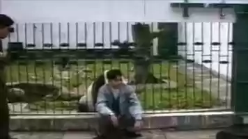 Free download When Zoo Animals Attack Compilation Part 1-fLQtQsk1WHI.mp4 video and edit with RedcoolMedia movie maker MovieStudio video editor online and AudioStudio audio editor onlin