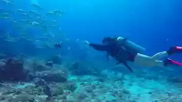 Free download Where I LOST my Heart (2018) video and edit with RedcoolMedia movie maker MovieStudio video editor online and AudioStudio audio editor onlin