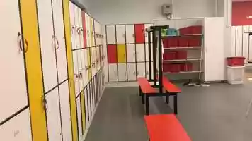 Free download Why do birds sing? video and edit with RedcoolMedia movie maker MovieStudio video editor online and AudioStudio audio editor onlin