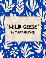 Free download Wild Geese by Mary Oliver video and edit with RedcoolMedia movie maker MovieStudio video editor online and AudioStudio audio editor onlin