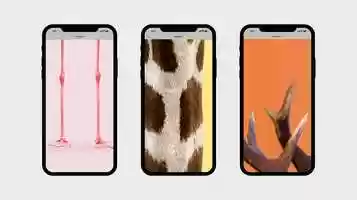 Free download Wildlife Film Festival Rotterdam, online motions video and edit with RedcoolMedia movie maker MovieStudio video editor online and AudioStudio audio editor onlin