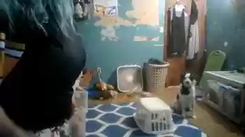 Free download Winnie Learning baskets video and edit with RedcoolMedia movie maker MovieStudio video editor online and AudioStudio audio editor onlin