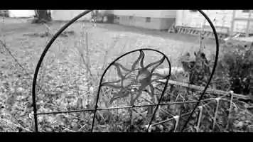 Free download Winter Calling || GX85 Cinematic Short Film || PANASONIC LUMIX G X VARIO II 12-35MM F/2.8 video and edit with RedcoolMedia movie maker MovieStudio video editor online and AudioStudio audio editor onlin