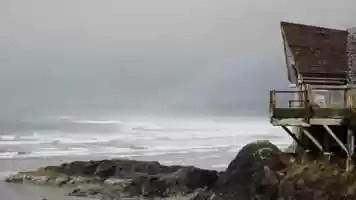 Free download Winter in Tofino video and edit with RedcoolMedia movie maker MovieStudio video editor online and AudioStudio audio editor onlin
