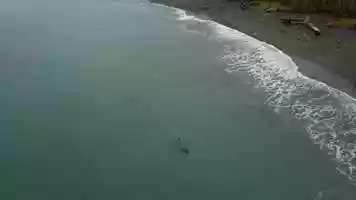 Free download Winter snorkeling in Alaska video and edit with RedcoolMedia movie maker MovieStudio video editor online and AudioStudio audio editor onlin