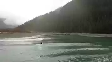 Free download Winter surfing in Alaska video and edit with RedcoolMedia movie maker MovieStudio video editor online and AudioStudio audio editor onlin
