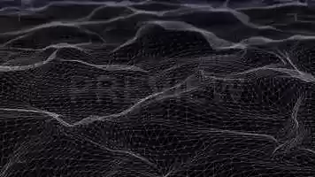 Free download Wireframe Terrain Stock Motion Graphics video and edit with RedcoolMedia movie maker MovieStudio video editor online and AudioStudio audio editor onlin