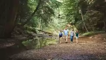 Free download Wisenburg Hocking Hills video and edit with RedcoolMedia movie maker MovieStudio video editor online and AudioStudio audio editor onlin