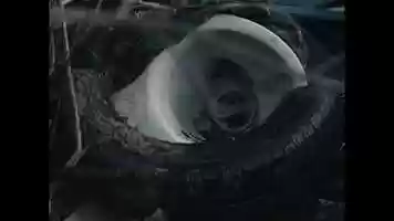 Free download WODY POLSKIE Portret pamięciowy.mp4 video and edit with RedcoolMedia movie maker MovieStudio video editor online and AudioStudio audio editor onlin